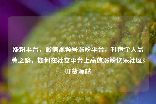 涨粉平台，微信视频号涨粉平台	，打造个人品牌之路，如何在社交平台上高效涨粉亿乐社区SUP货源站  第1张