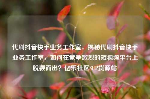 代刷抖音快手业务工作室，揭秘代刷抖音快手业务工作室，如何在竞争激烈的短视频平台上脱颖而出？亿乐社区SUP货源站  第1张